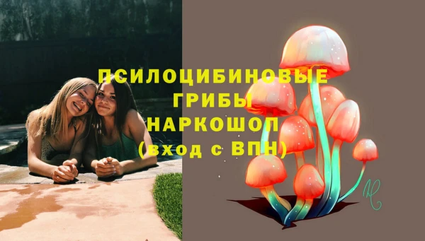 прущие грибы Заволжье