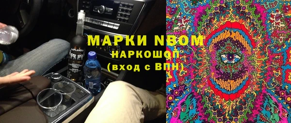 прущие грибы Заволжье