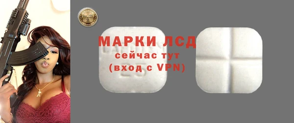 прущие грибы Заволжье