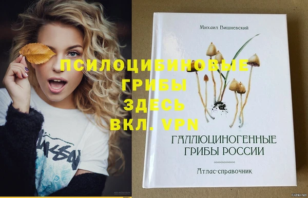 хмурый Заволжск