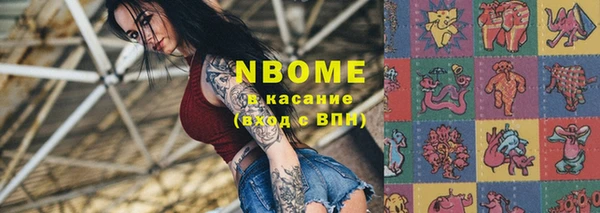 прущие грибы Заволжье